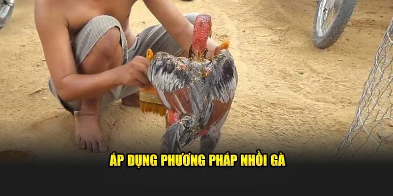 Áp dụng phương pháp nhồi gà