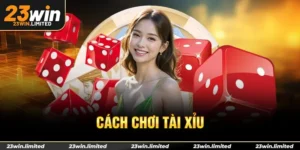 Cách chơi tài xỉu