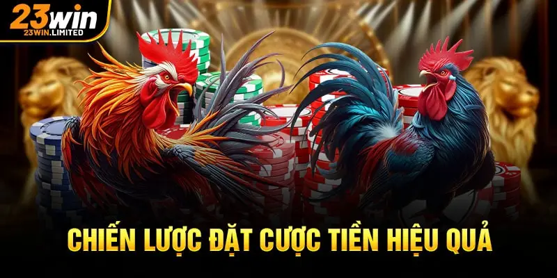 Chiến lược đặt cược tiền hiệu quả