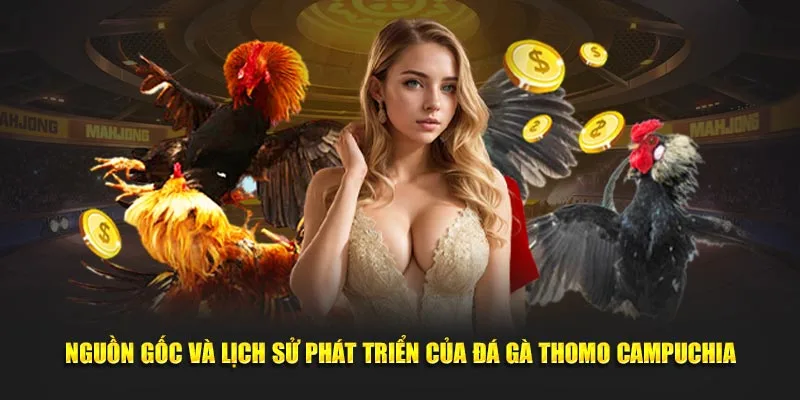 Nguồn gốc và lịch sử phát triển của đá gà Thomo Campuchia