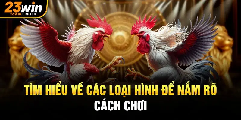 Đá gà 23win tìm hiểu về các loại hình để nắm rõ cách chơi